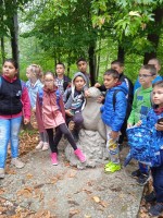 /album/miskolci-vadaspark-2021-09-17/img-20210917-105636-1-jpg/