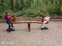 /album/miskolci-vadaspark-2021-09-17/img-20210917-130144-jpg/