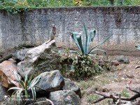 /album/miskolci-vadaspark-2021-09-17/img-20210917-130010-jpg/